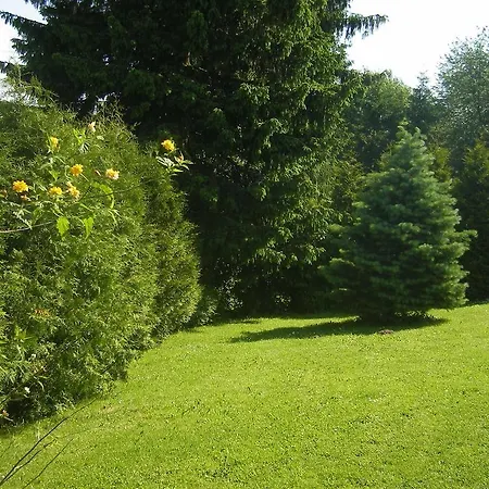 Ferienwohnung Anke *